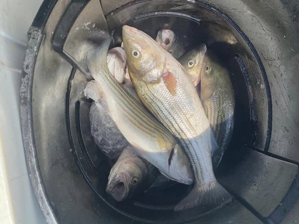 Fishing in Maryland