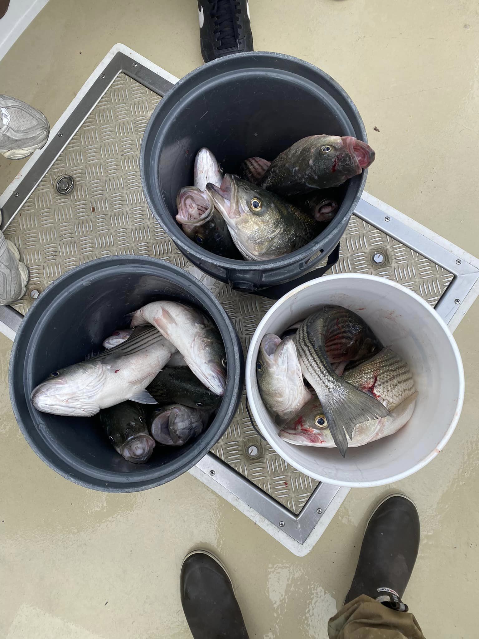 Great fishing adventure in MD