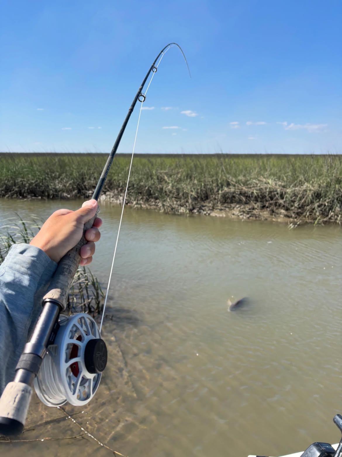 Fly fishing rod bent with fish on line in shallow muddy water near Mt Pleasant SC