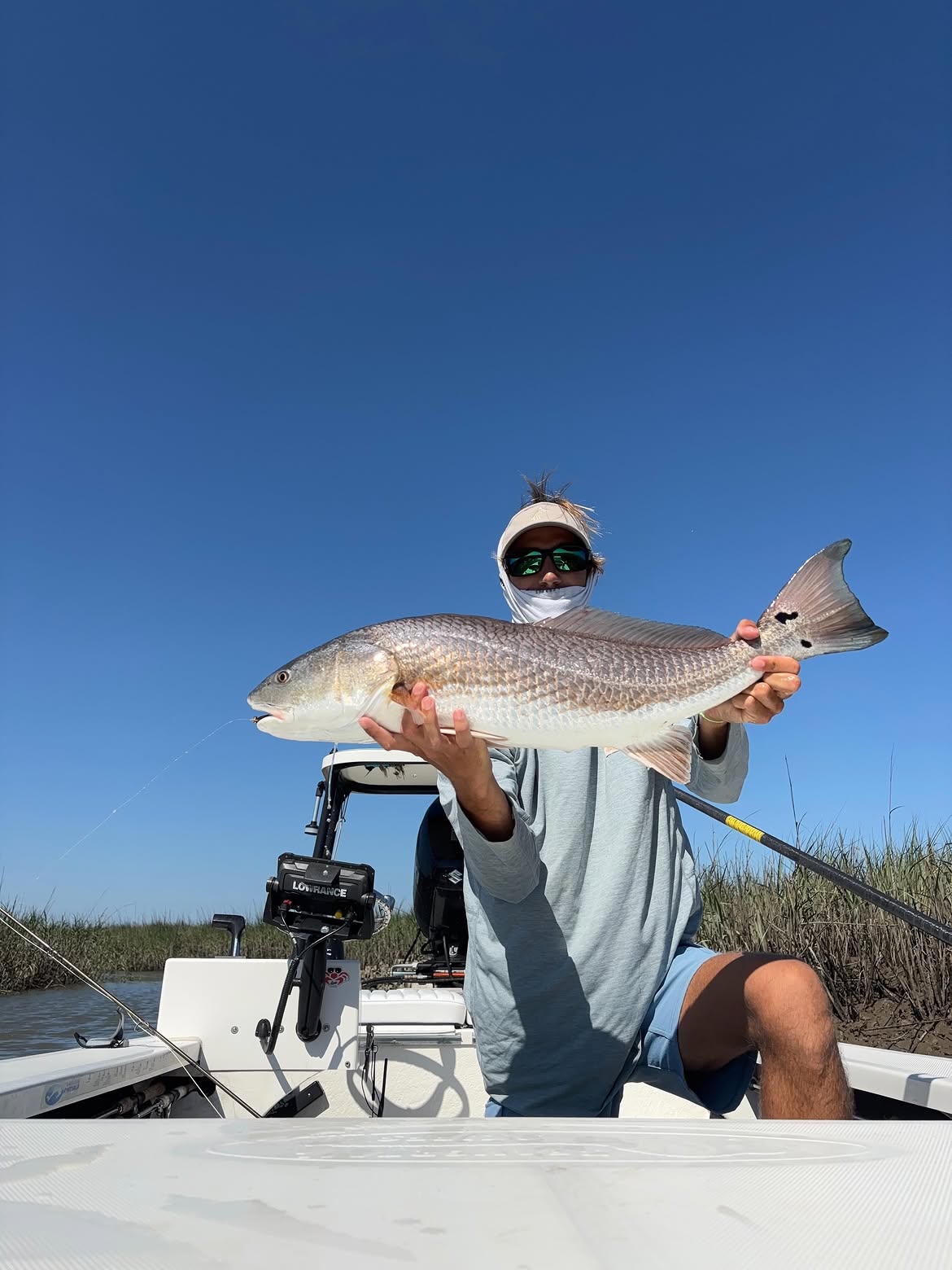 Redfish catch displayed on fishing boat in Mt Pleasant SC