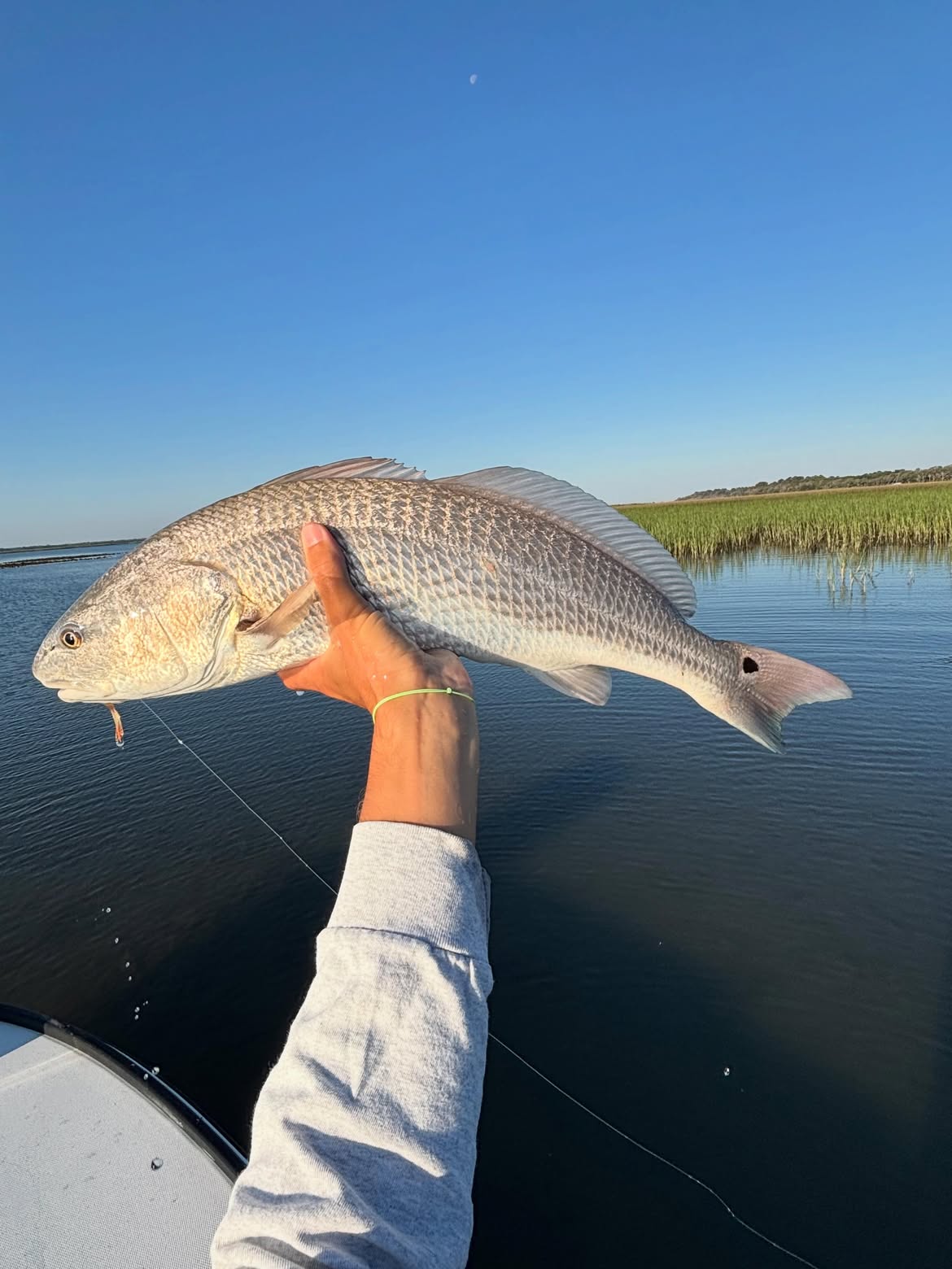 Redfish caught while fishing in Mt Pleasant SC held up over water