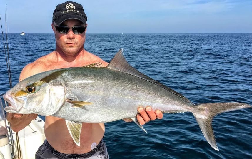 Massive greater amberjack caught in FL