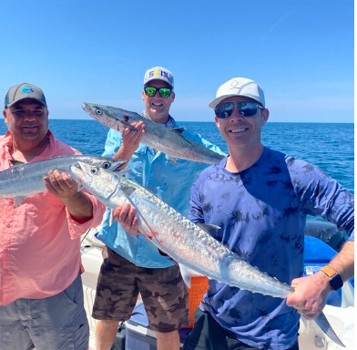 3 big fish caught at Bradenton Beach while fishing