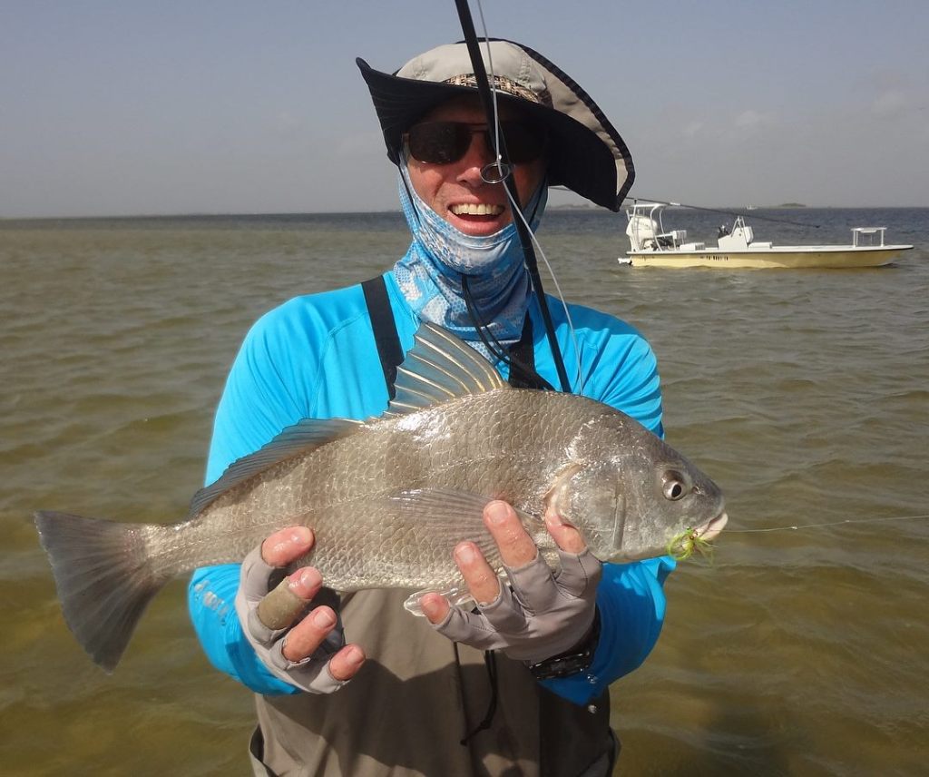 A large black drum fish caught in Corpus Christi