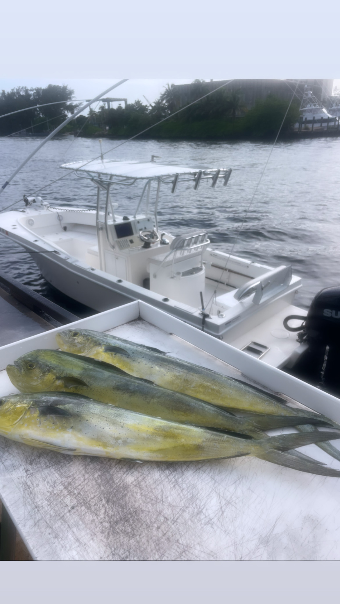 Dusky (Center console)