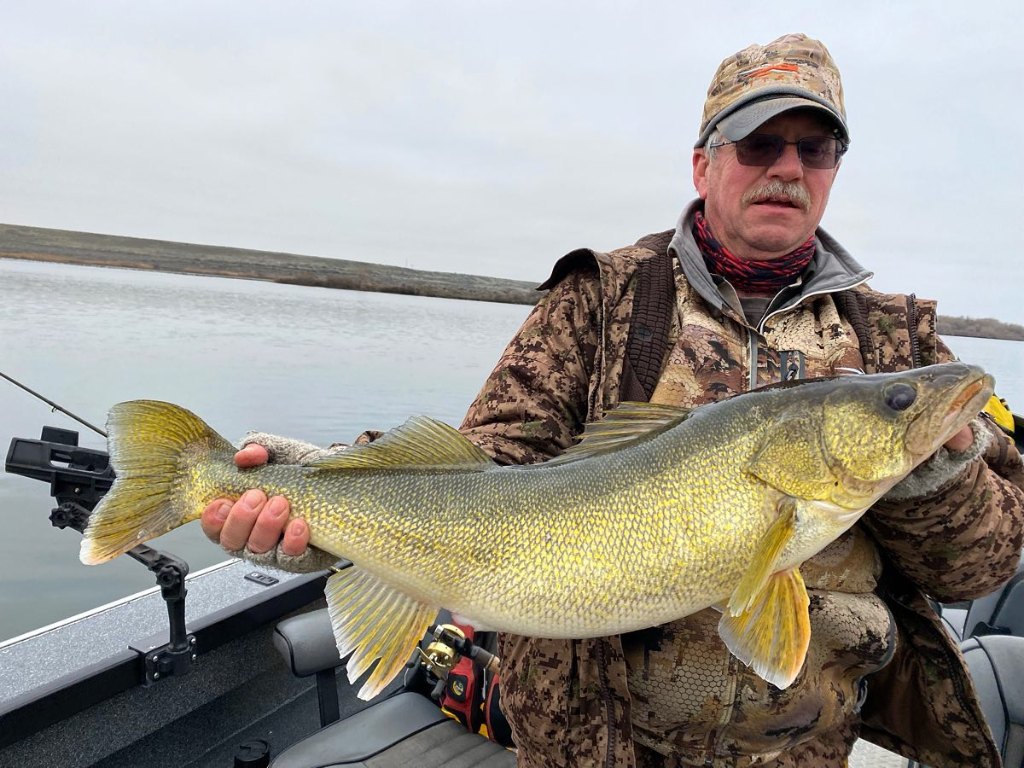 Pic of 31-inch pike-perch caught while fishing in OR