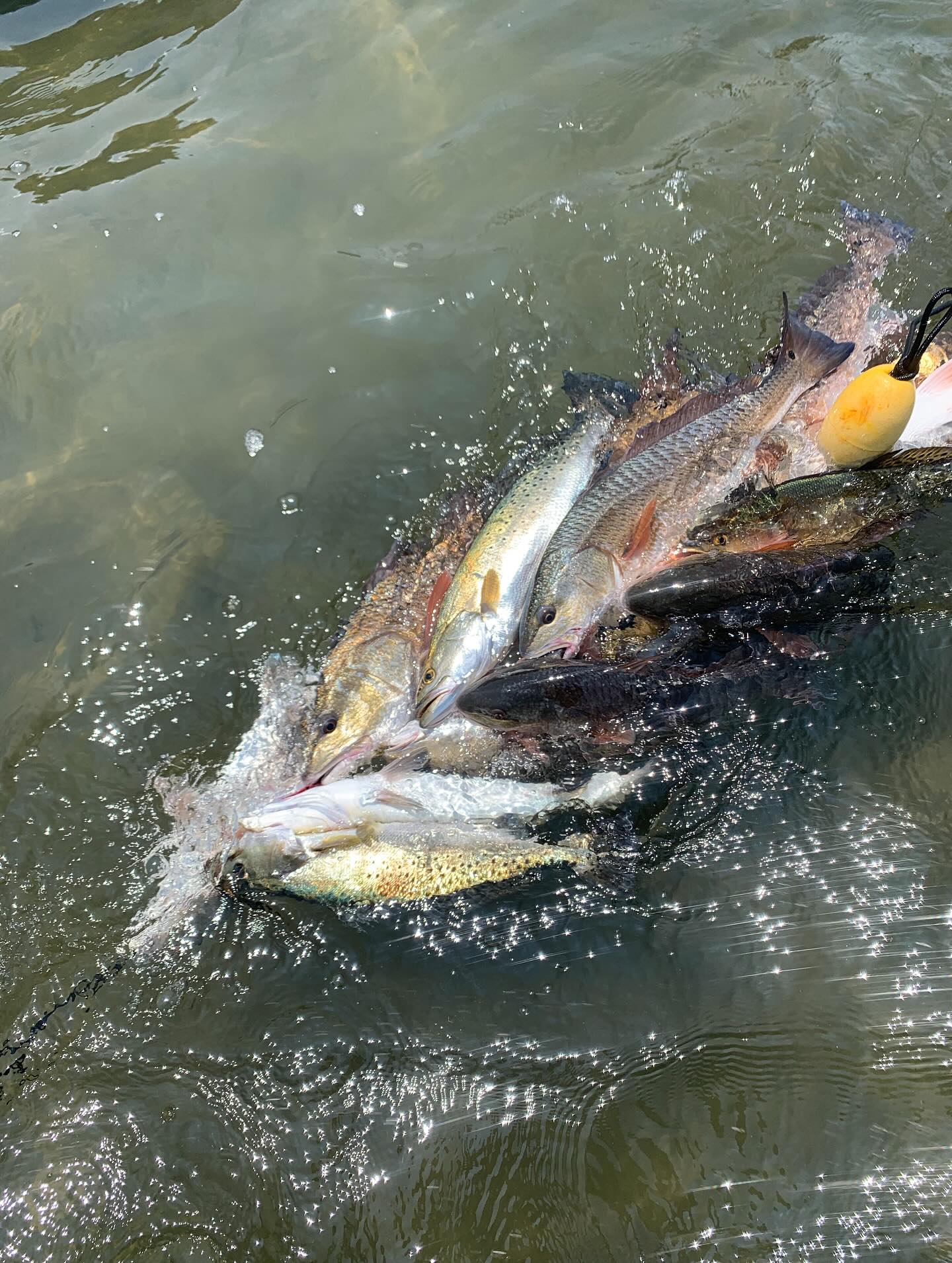 Fishing in MS with Best, great