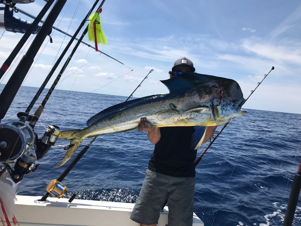 A person fishing at New Smyrna Beach