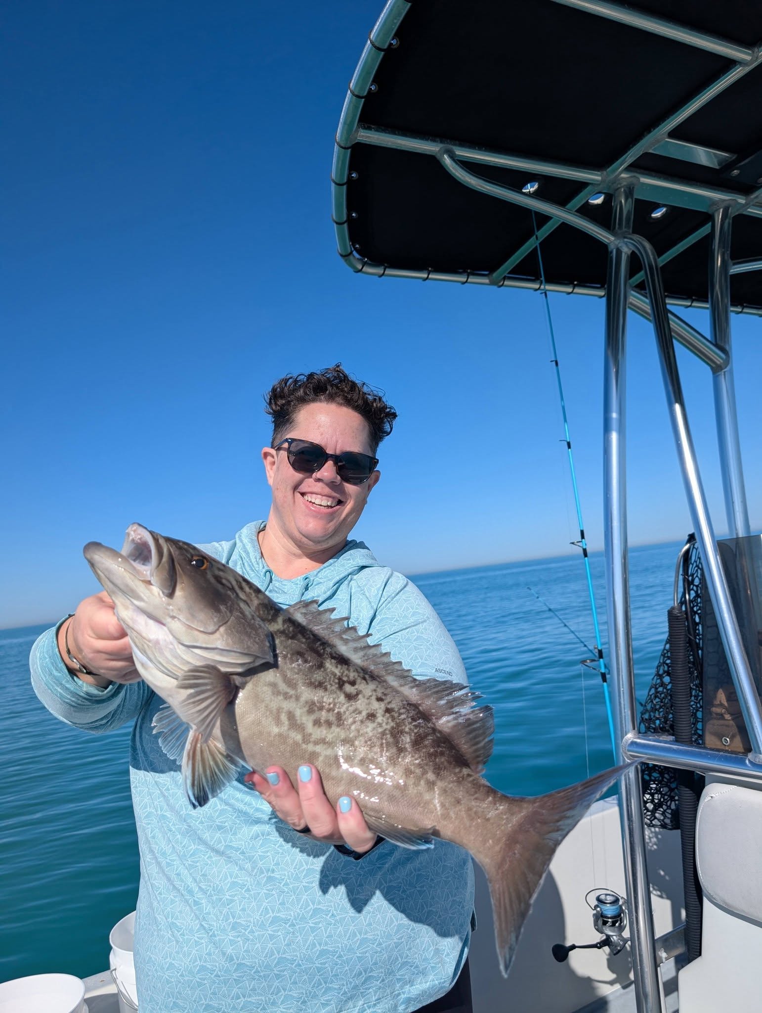 Gag grouper caught fishing in St. Petersburg FL waters from boat