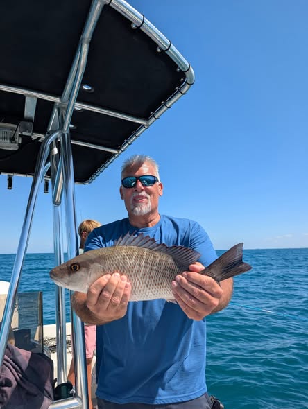 Grey snapper caught fishing in St. Petersburg FL waters from boat