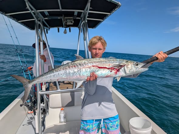 King mackerel caught while fishing in St. Petersburg FL