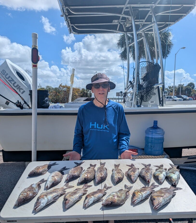 Fresh caught fish displayed on cleaning table at St. Petersburg FL marina