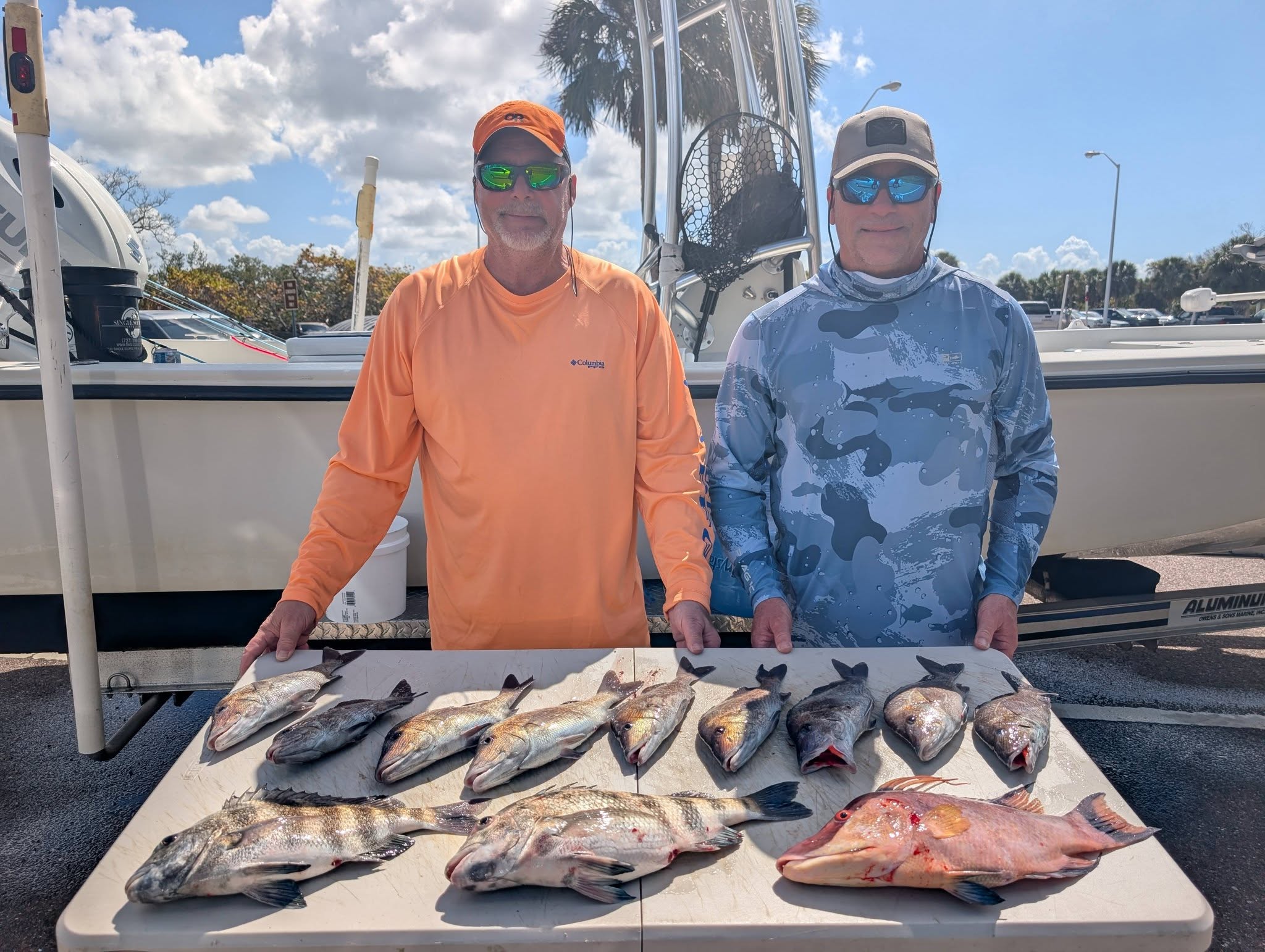 Fresh caught hogfish and sheepshead displayed on cleaning table at St. Petersburg FL marina