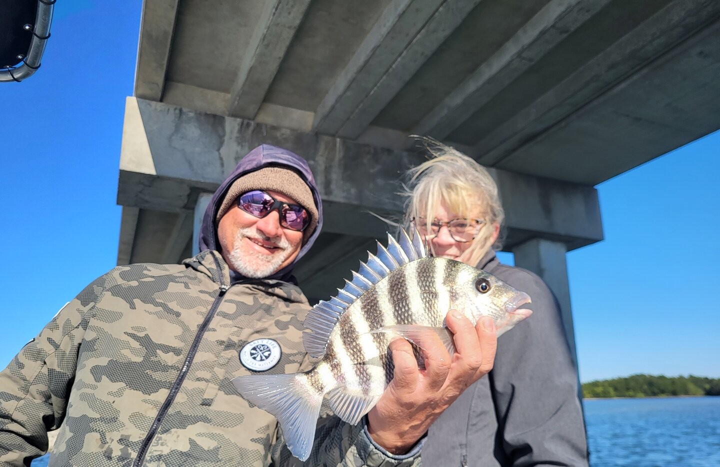 Sheepshead fish caught while fishing in St. Petersburg FL