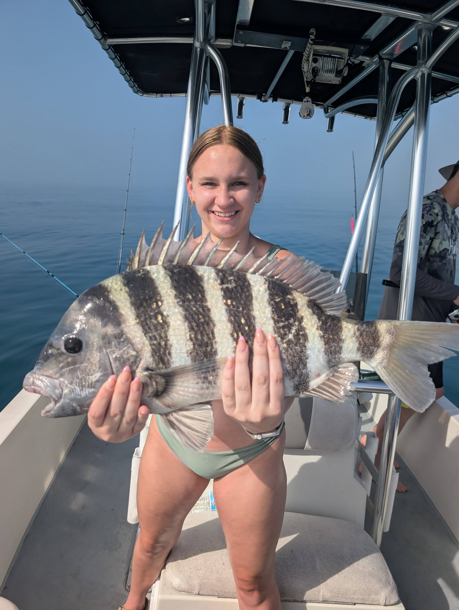 Sheepshead fish caught while fishing in St. Petersburg FL