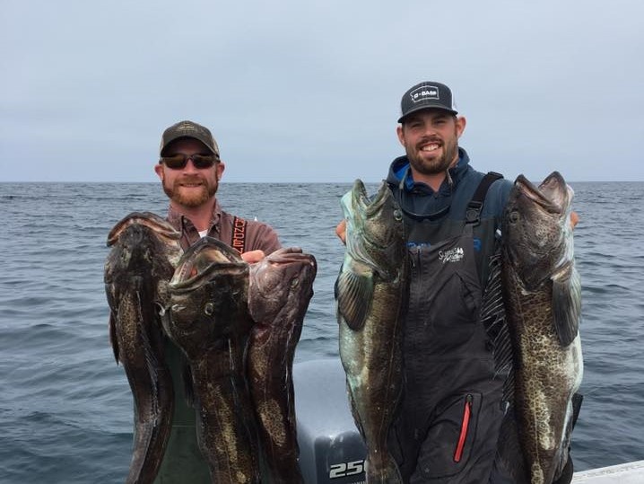 Five big fish caught in Fortuna