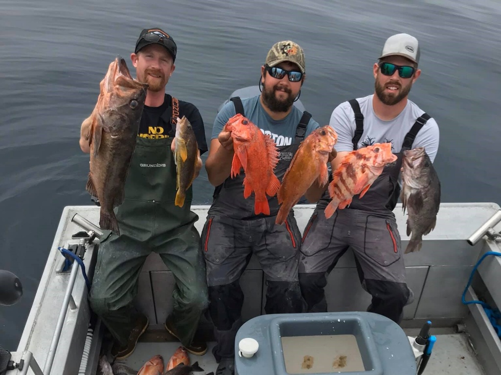 A group of 6 fish caught in Fortuna