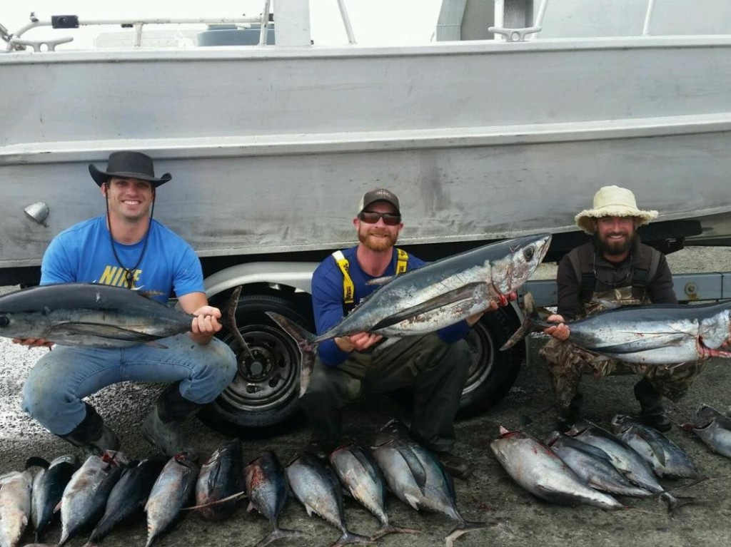 3 big fish caught in CA