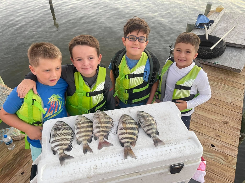 5 sheepshead fish caught in Swansboro