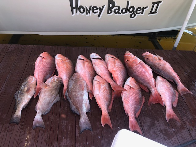 8 fish caught while fishing in FL
