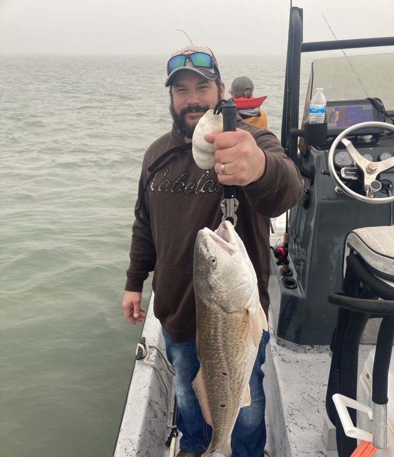 Fresh caught redfish displayed on fishing boat in Aransas Pass TX