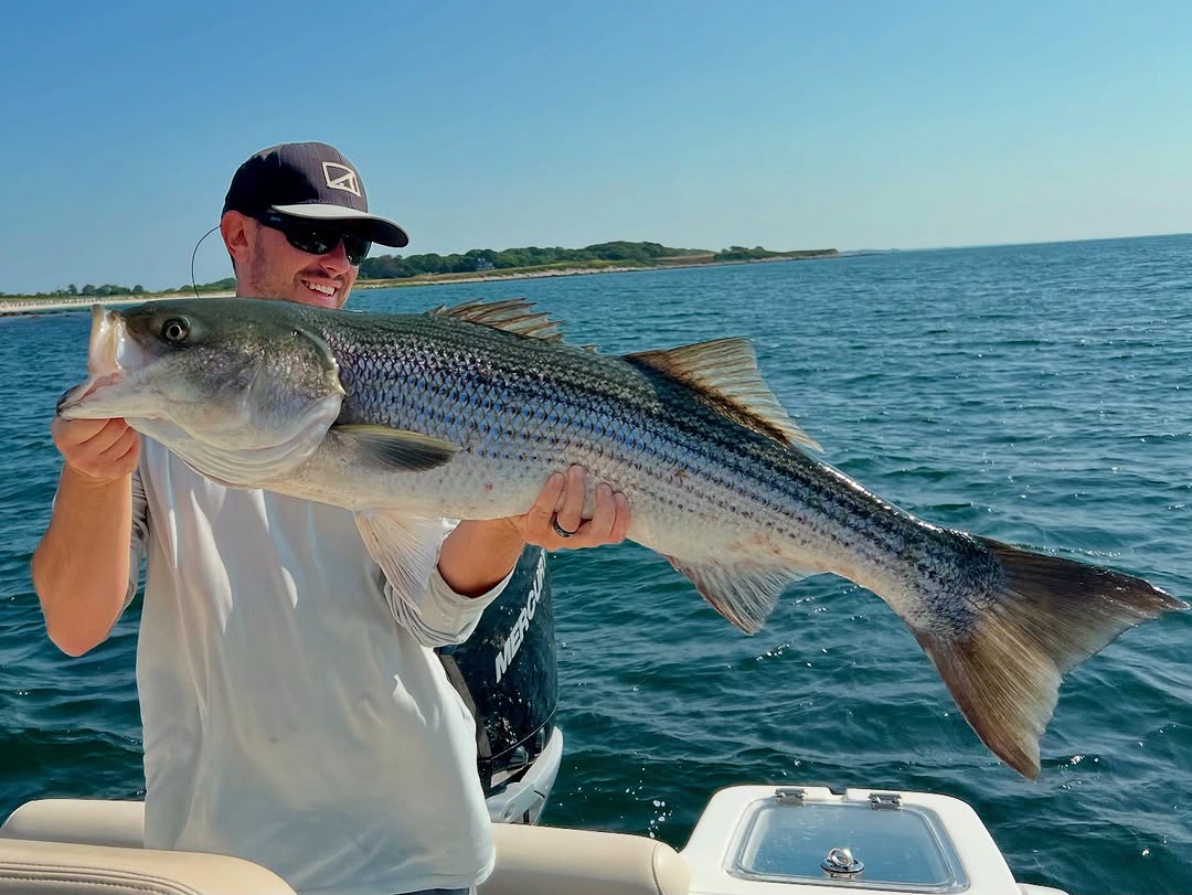 Striped bass caught by fisherman in Pawcatuck