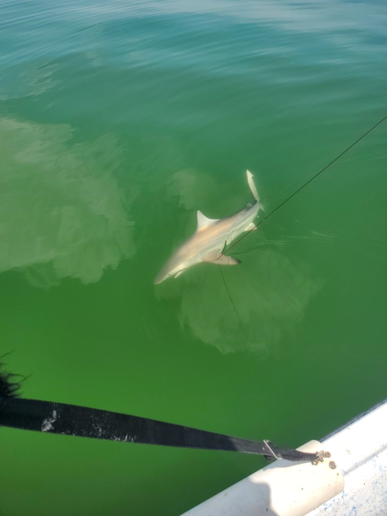 Fishing in Florida