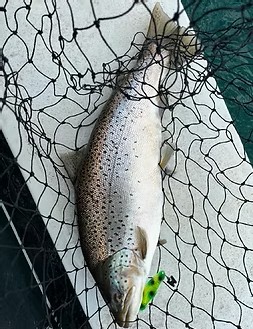 Family fishing on Lake Ontario aboard 36ft Trojan boat catching salmon and trout in Waterport NY