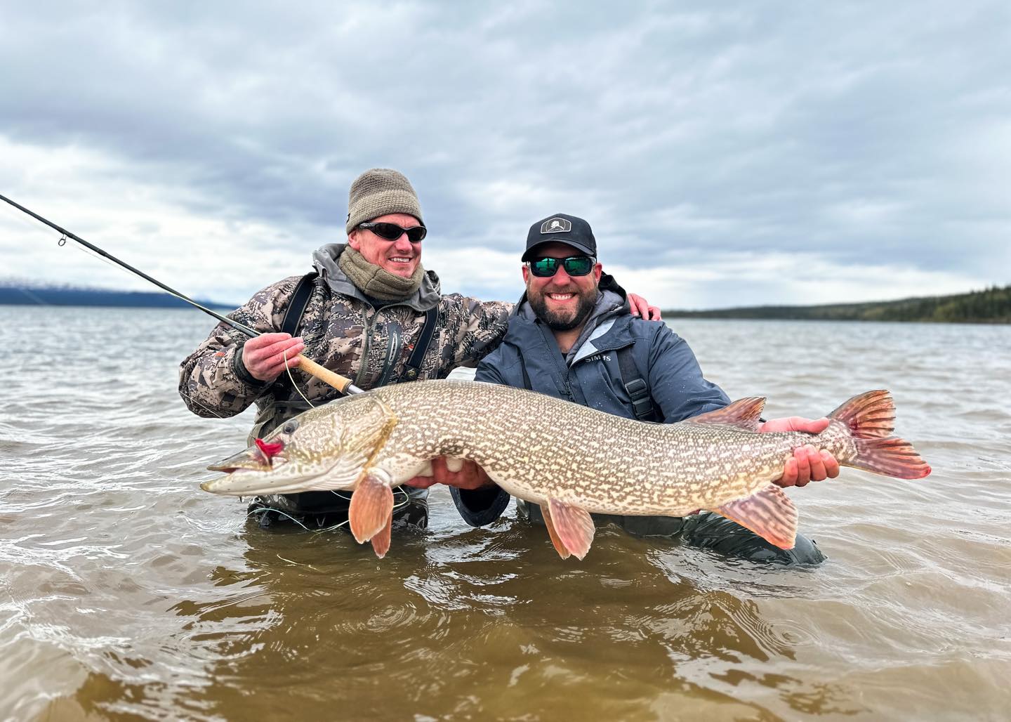 Photograph of a Northern Pike fish caught in Alaska