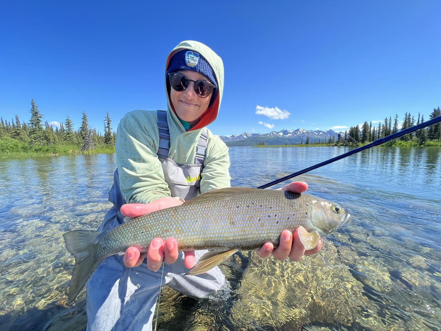 A lone Arctic Grayling fish caught in AK