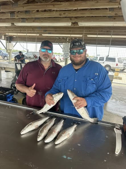 Fresh caught fish displayed on cleaning table at Matagorda TX fishing dock