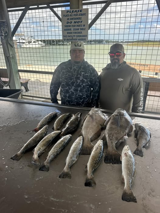 Speckled trout fishing catch displayed on cleaning station in Matagorda TX