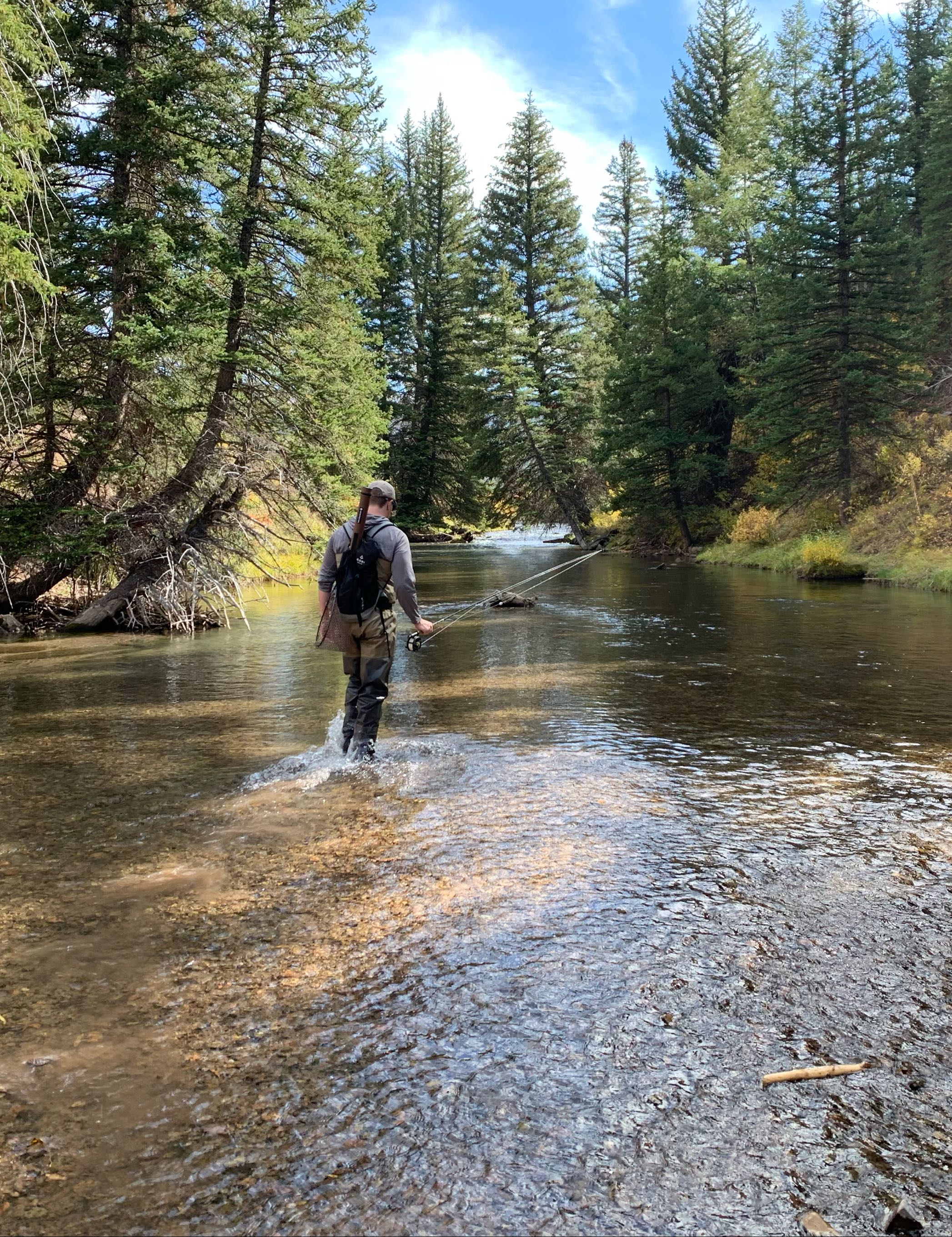 A scenic view of Cokeville during a fishing trip