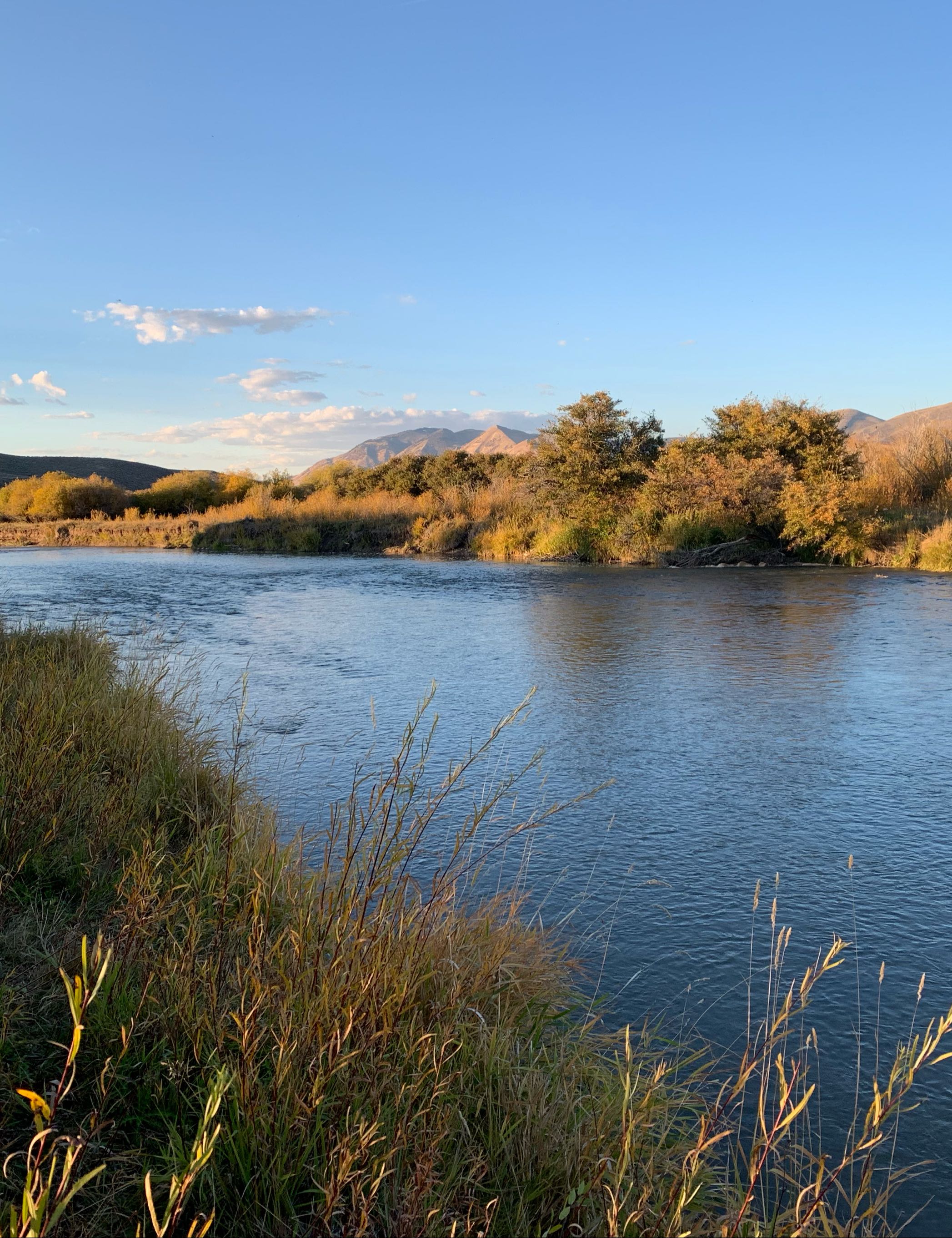 Fishing in Cokeville