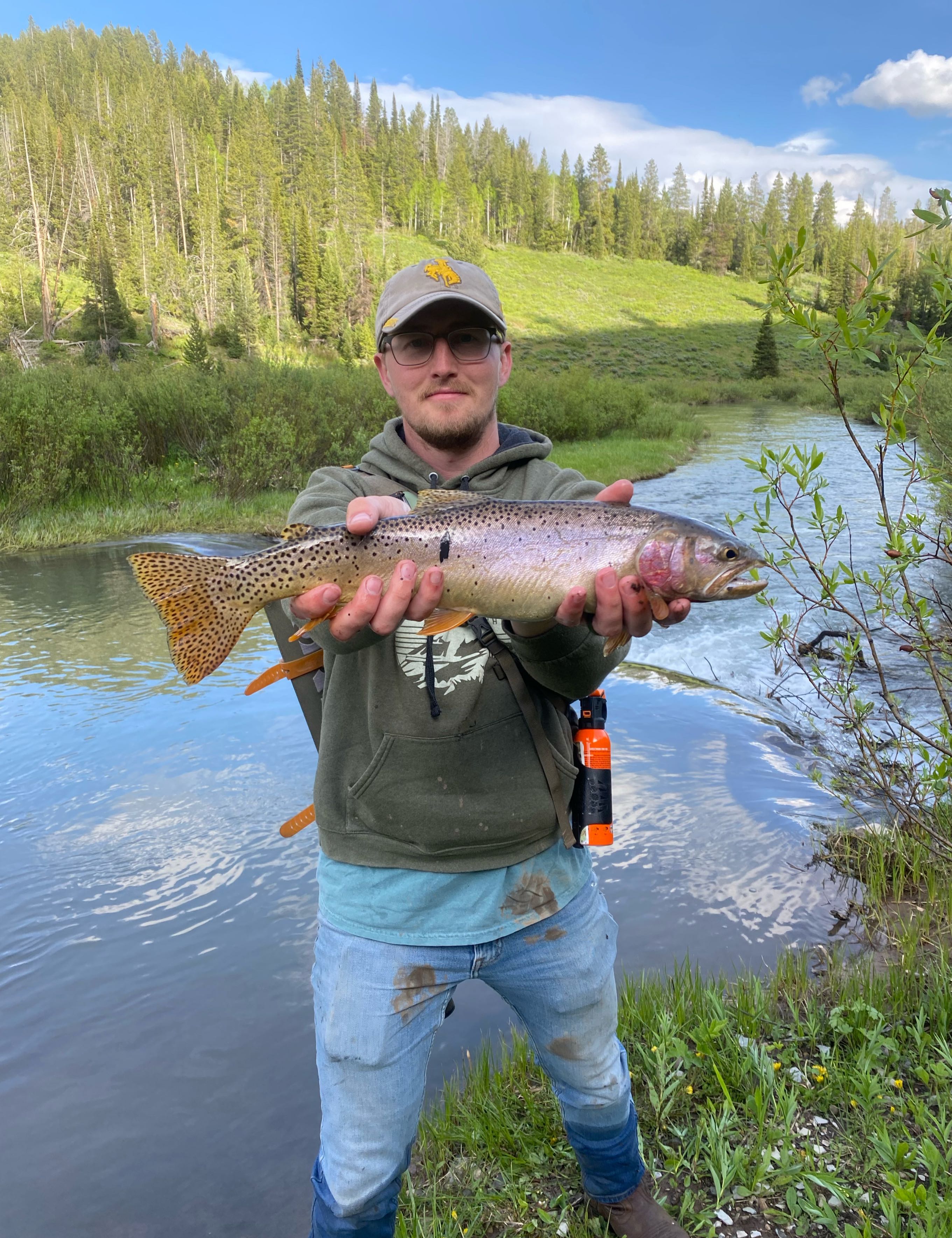 Angler holding a large rainbow trout fish caught in Cokeville