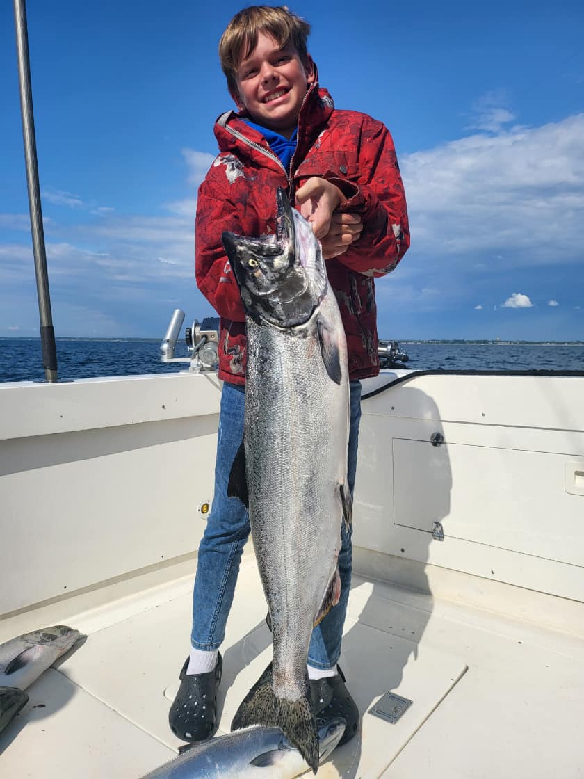 Chinook salmon, 34 inches long, caught in Algoma