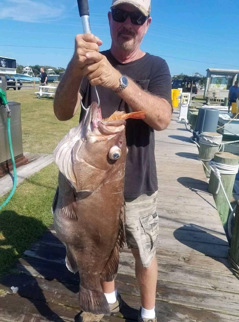One angler fishing in Hatteras