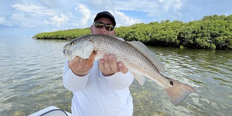 Redfish catch in Everglades City