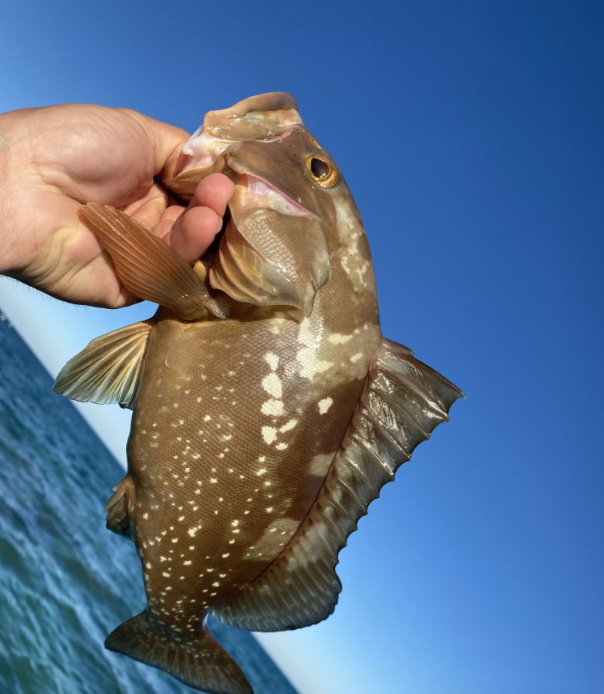 Angler fishing in Key Largo
