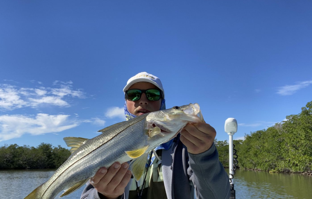 Snook fish caught while fishing in FL