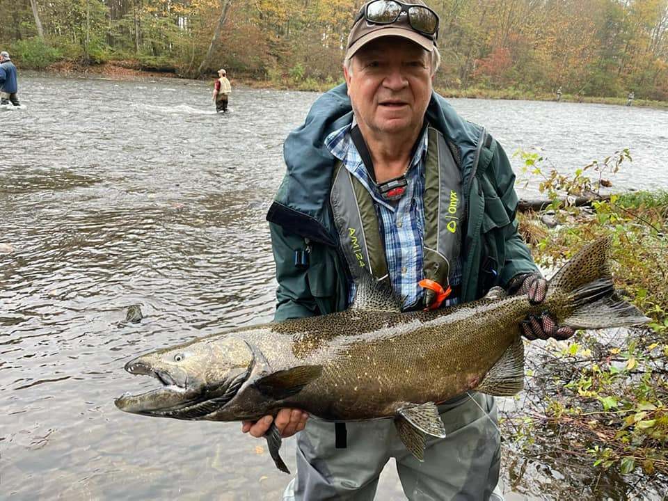 Chinook salmon, 29 inches, caught in Pulaski