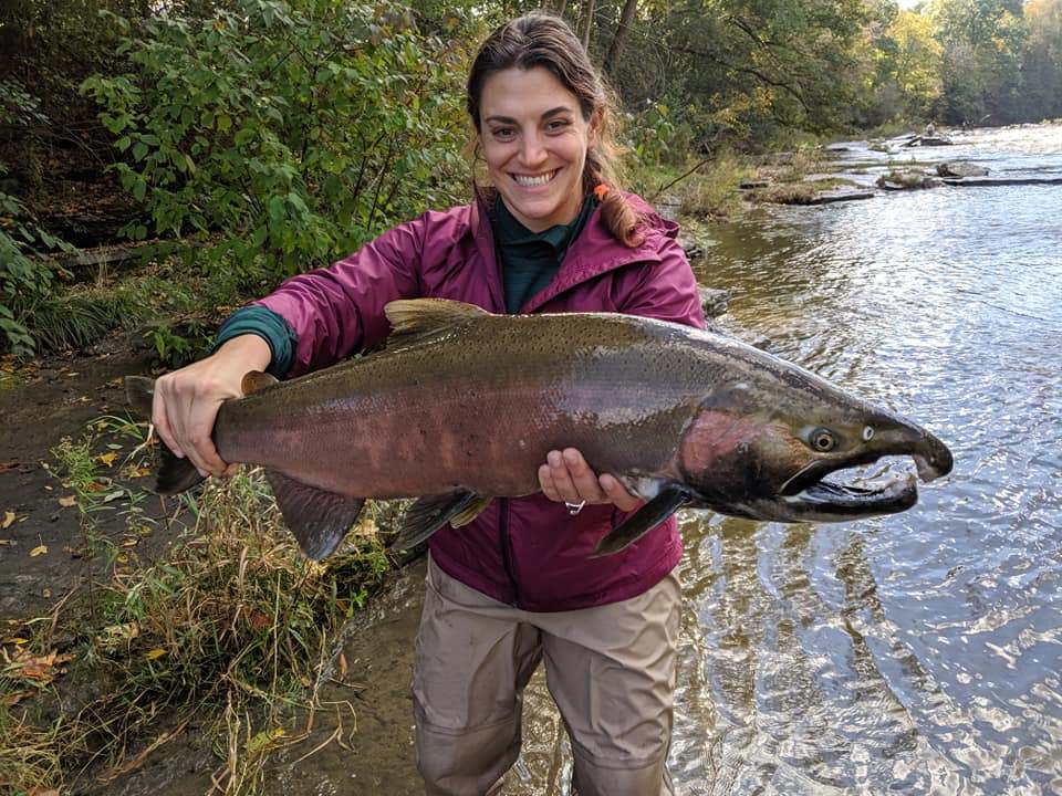 Coho Salmon caught while fishing in NY