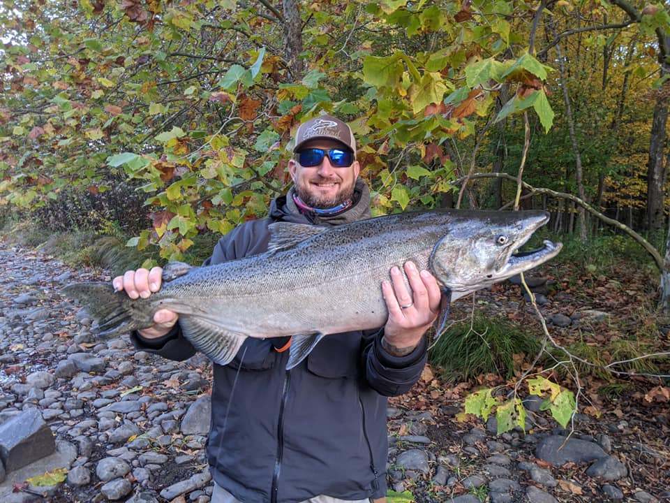Photograph of a pink salmon, 36 inches long, caught while fishing in NY.