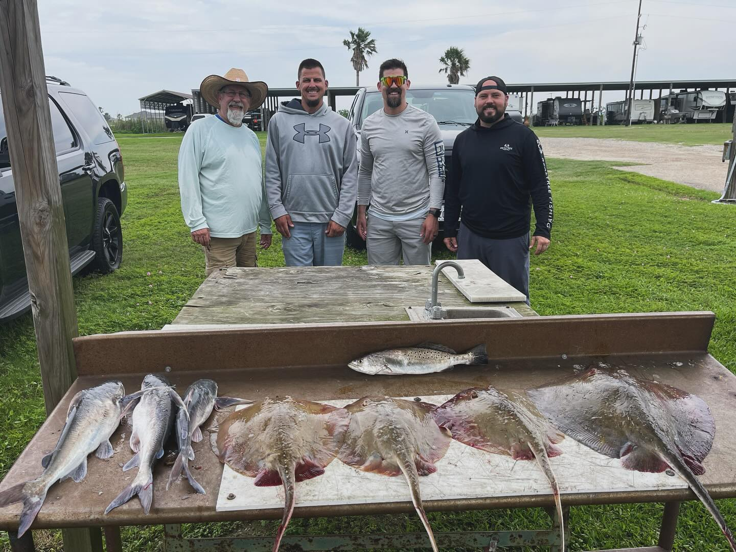 Three white catfish and spotted weakfish caught in TX