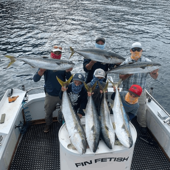 7 Cero Mackerel fish caught in Marina Del Rey
