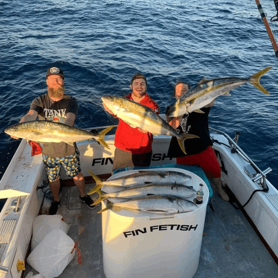 5 large fish caught at Marina Del Rey