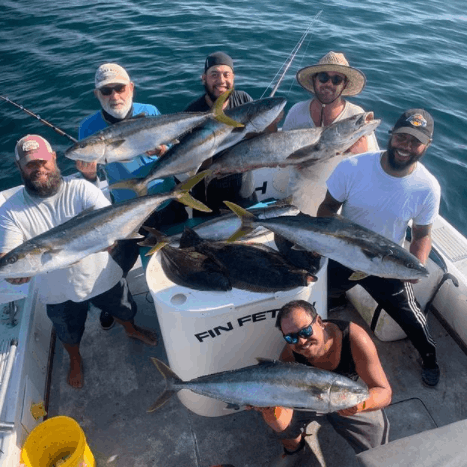 Five greater amberjack fish caught at Marina Del Rey