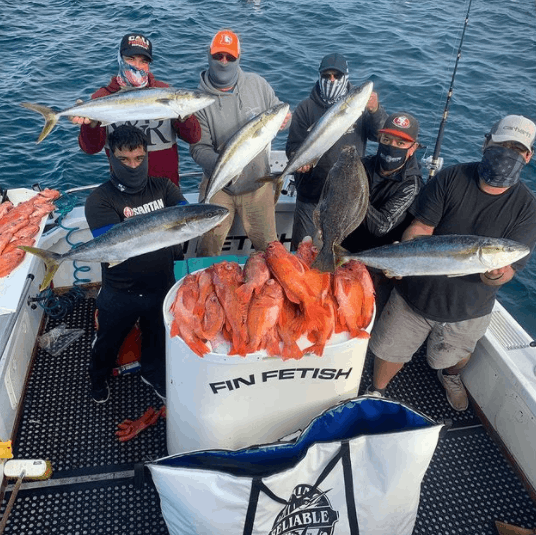 5 bluefish caught in CA