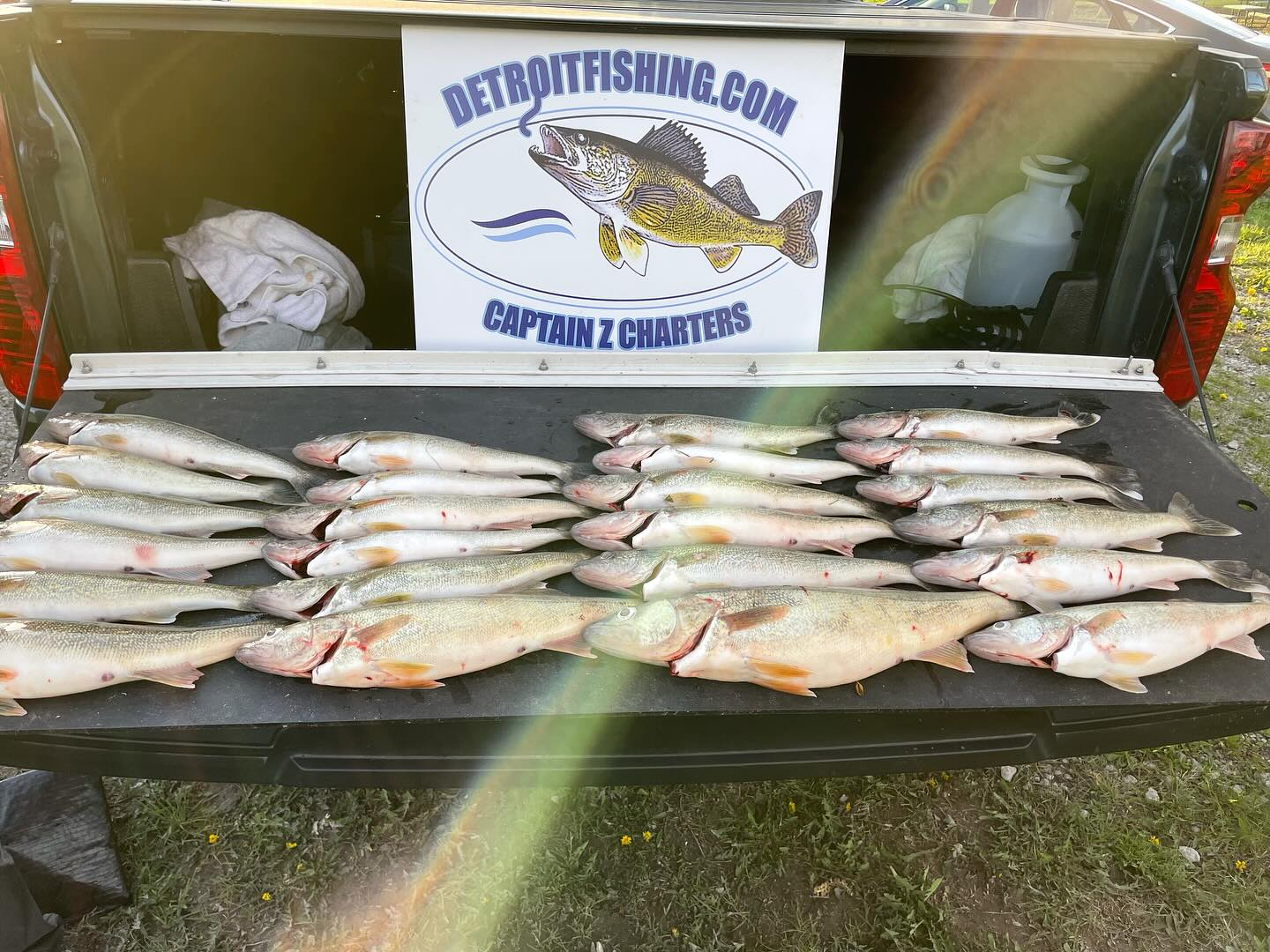 Six sockeye salmon caught in MI
