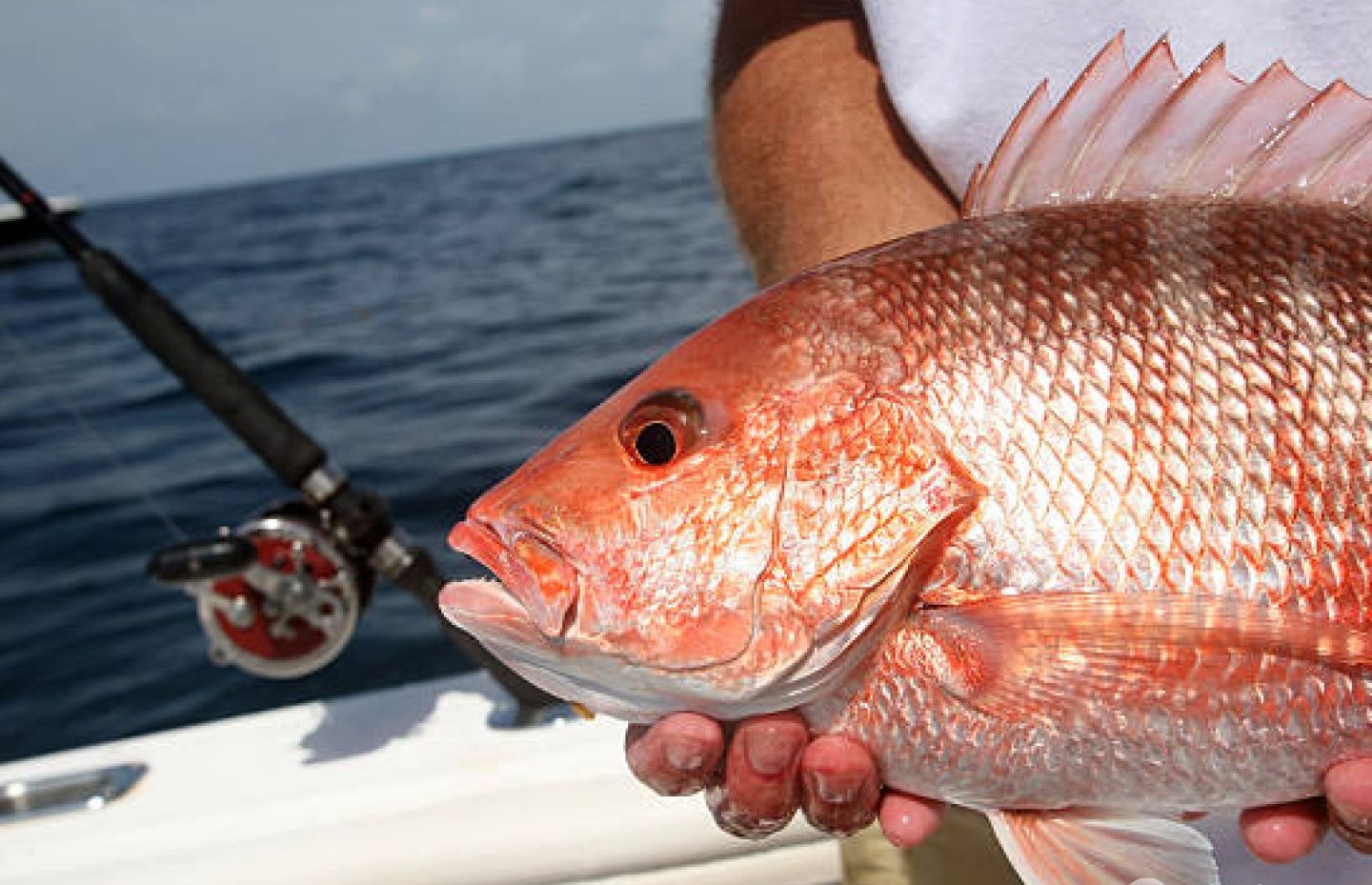 Fishing in Florida